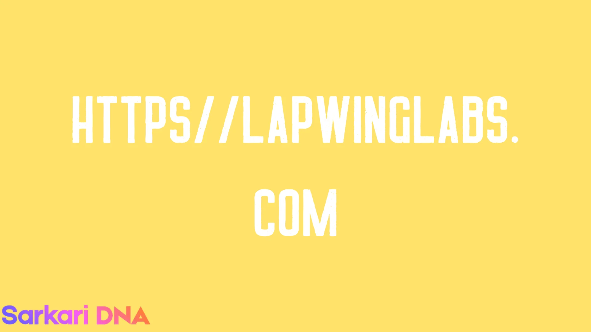 httpslapwinglabs.com